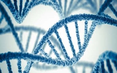 Change Your Life Change Your Genes
